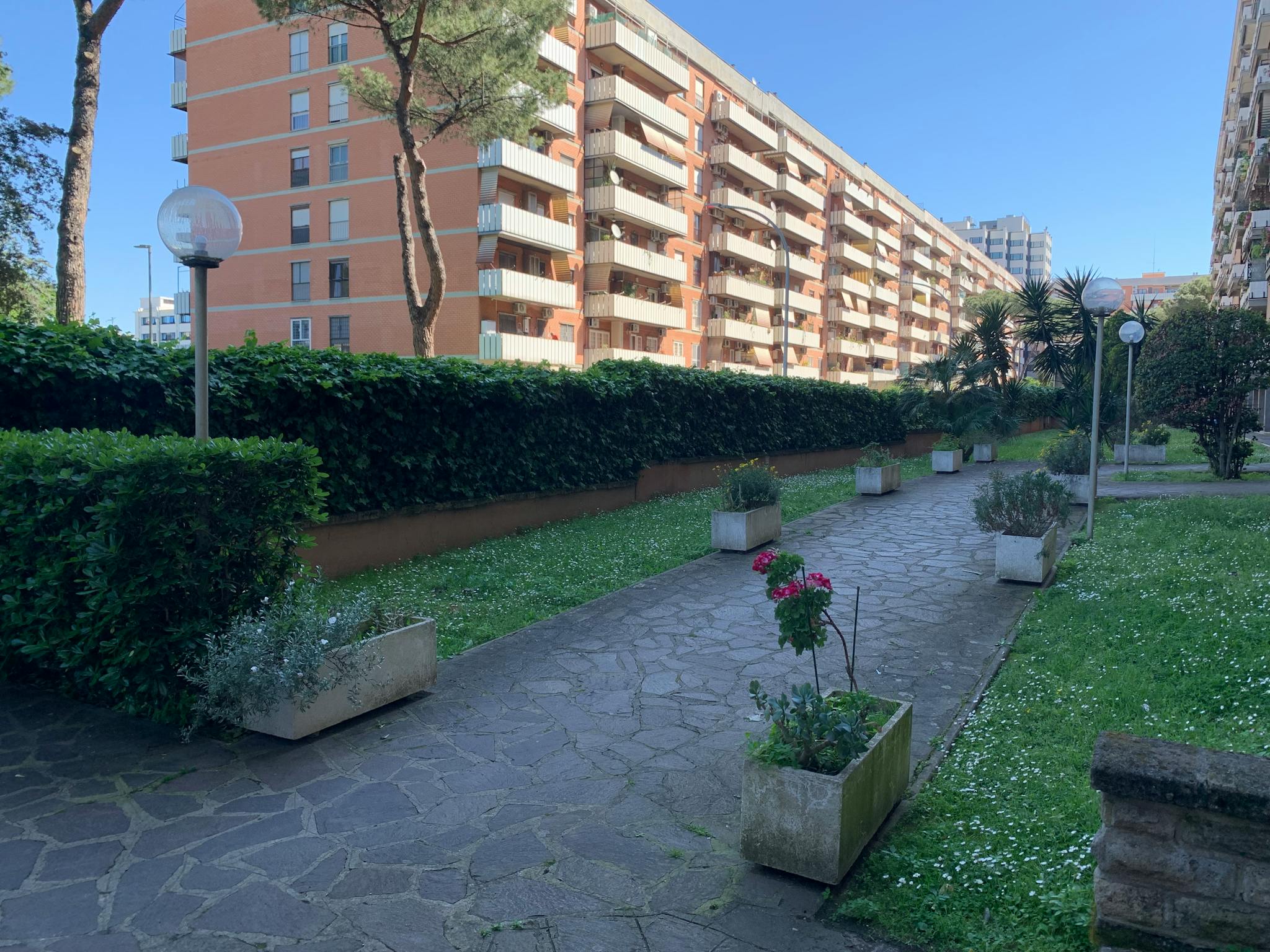 Foto annuncio 6