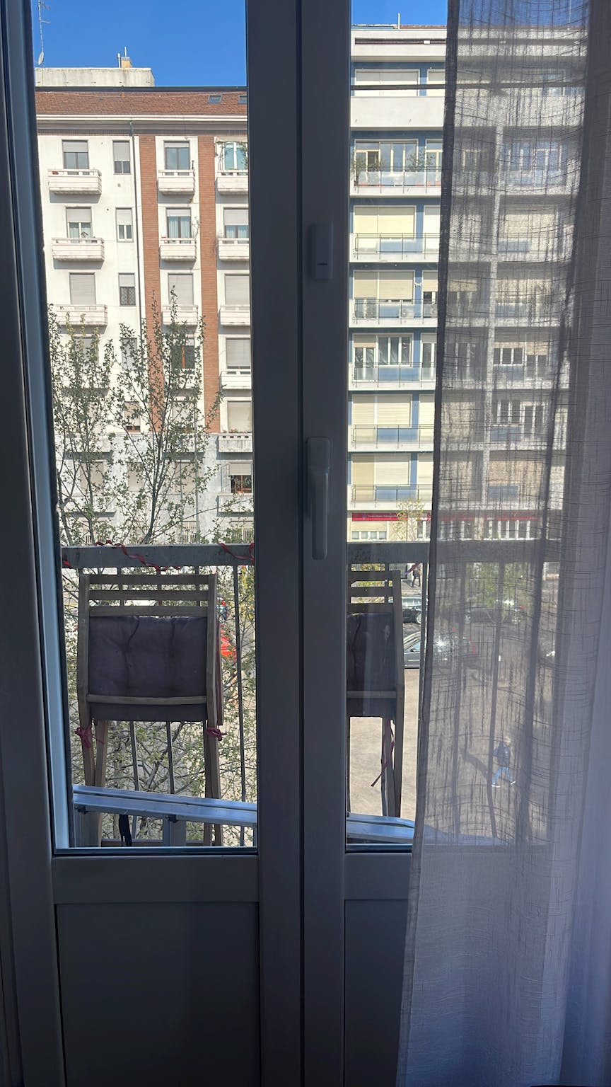Foto annuncio 7