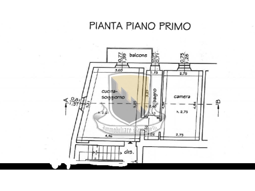 Foto annuncio 9