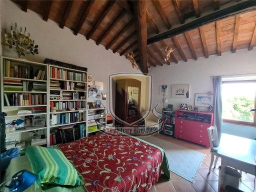 Foto annuncio 32
