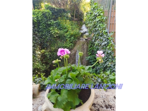 Foto annuncio 29