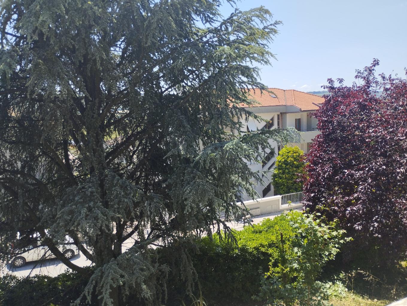 Foto annuncio 12
