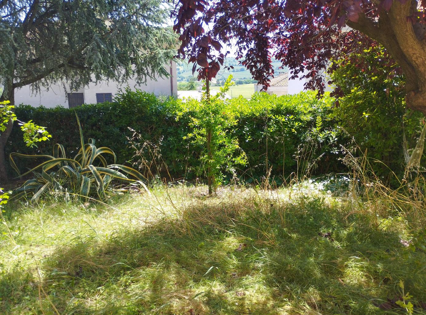 Foto annuncio 15