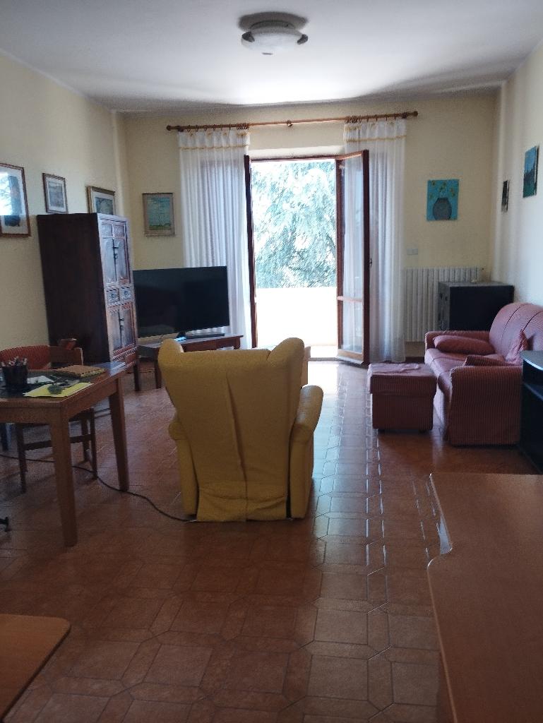 Foto annuncio 25