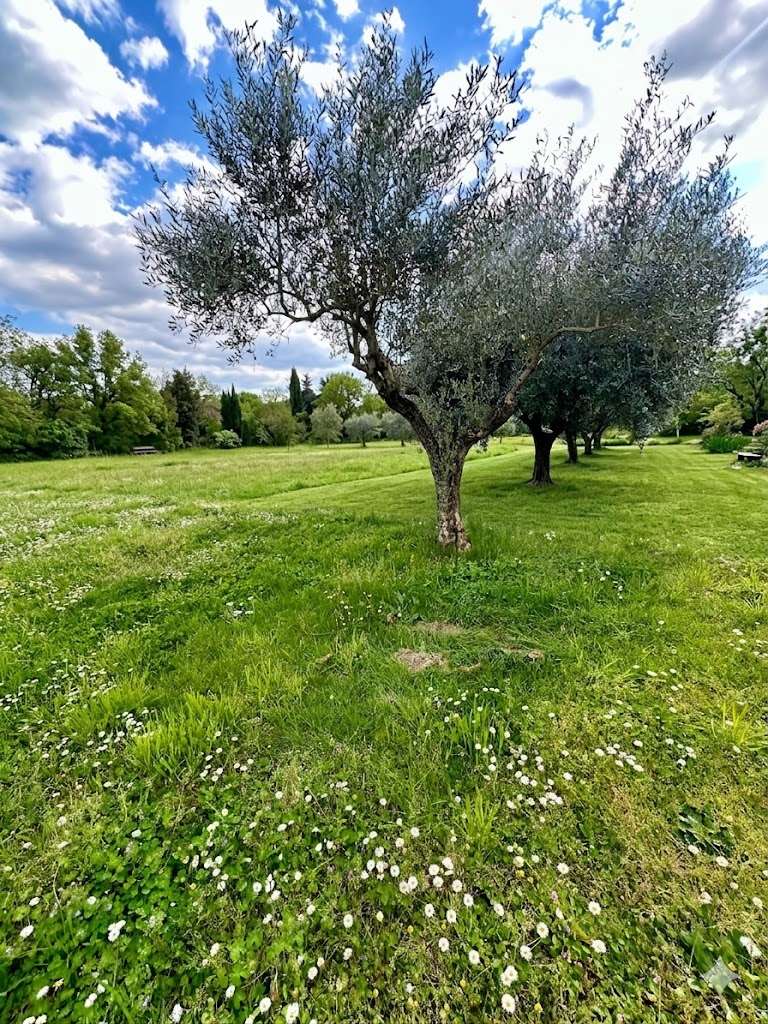 Foto annuncio 1