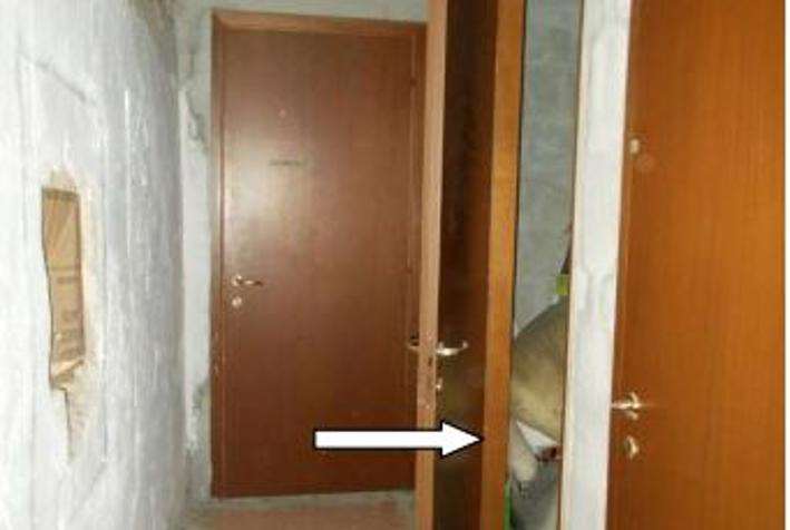 Foto annuncio 6