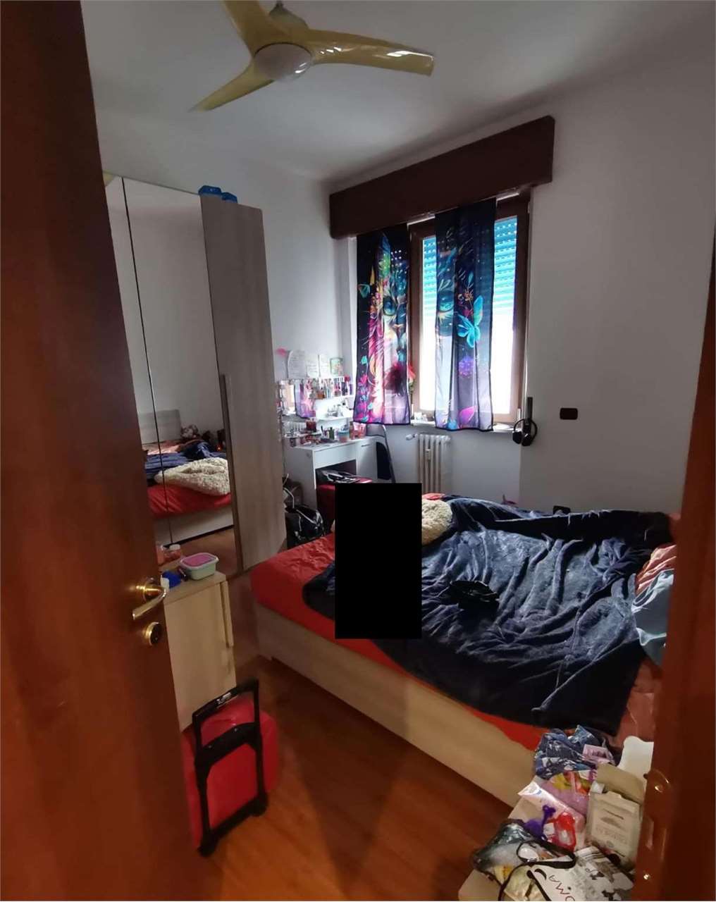 Foto annuncio 5