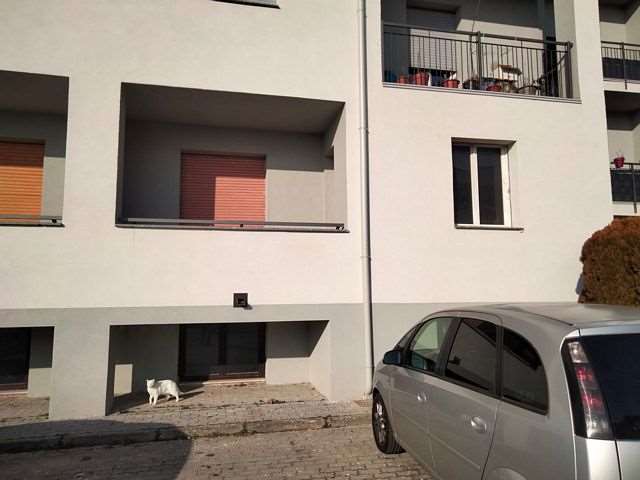 Foto annuncio 3