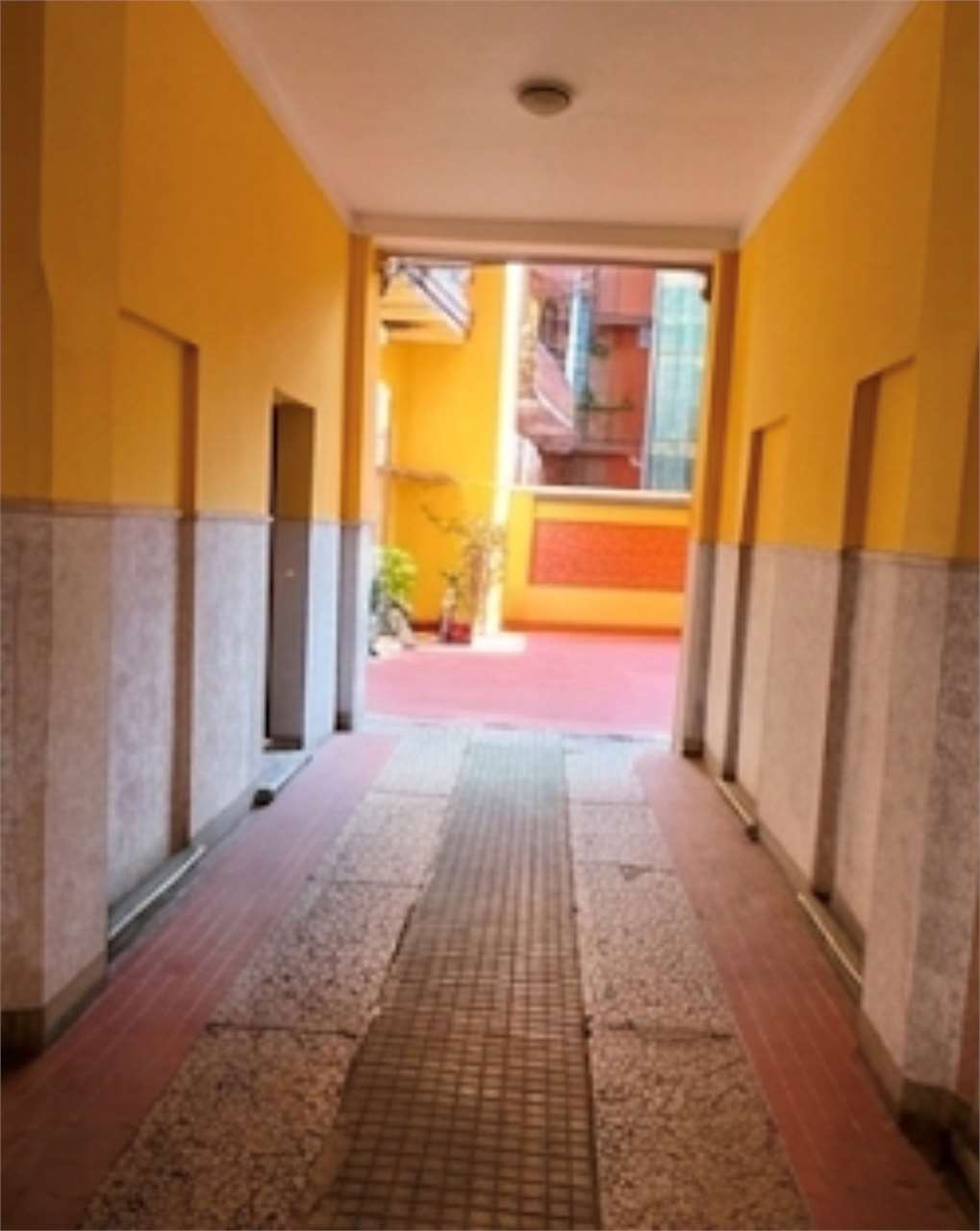 Foto annuncio 10