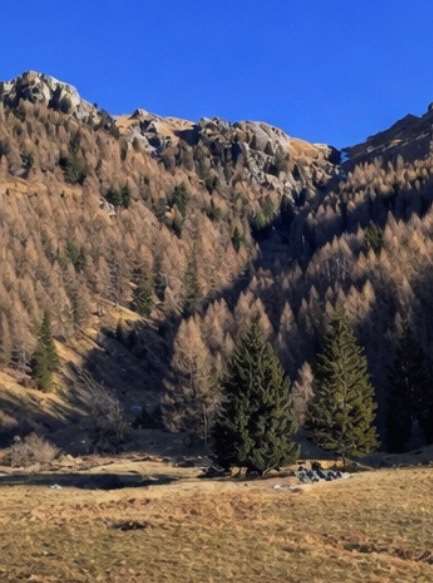 Foto annuncio 2