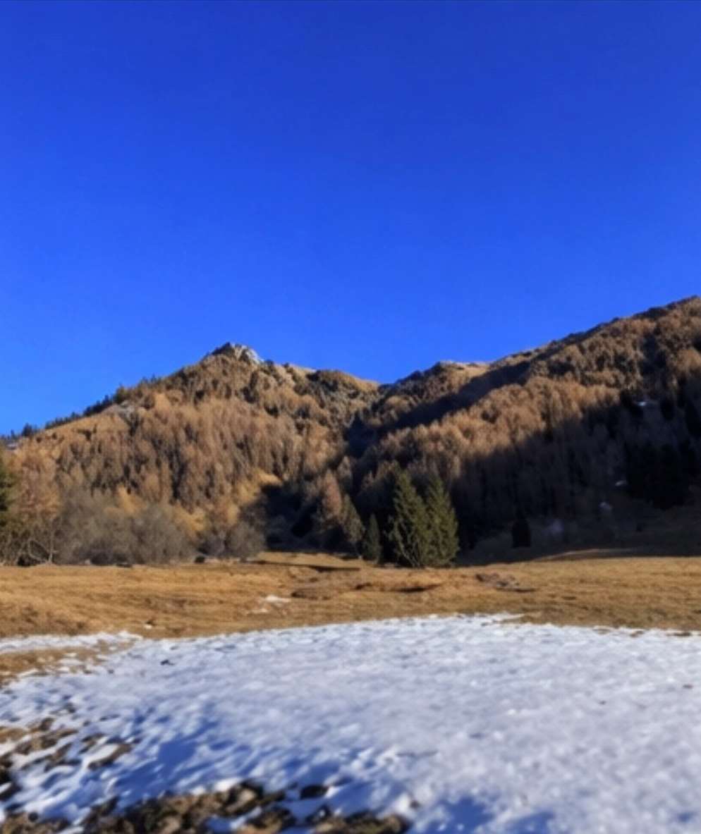 Foto annuncio 6