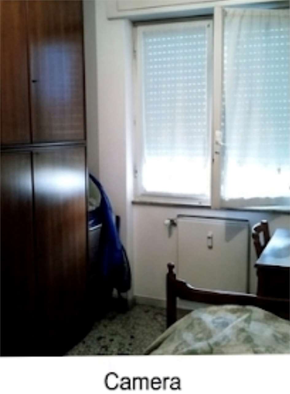 Foto annuncio 7