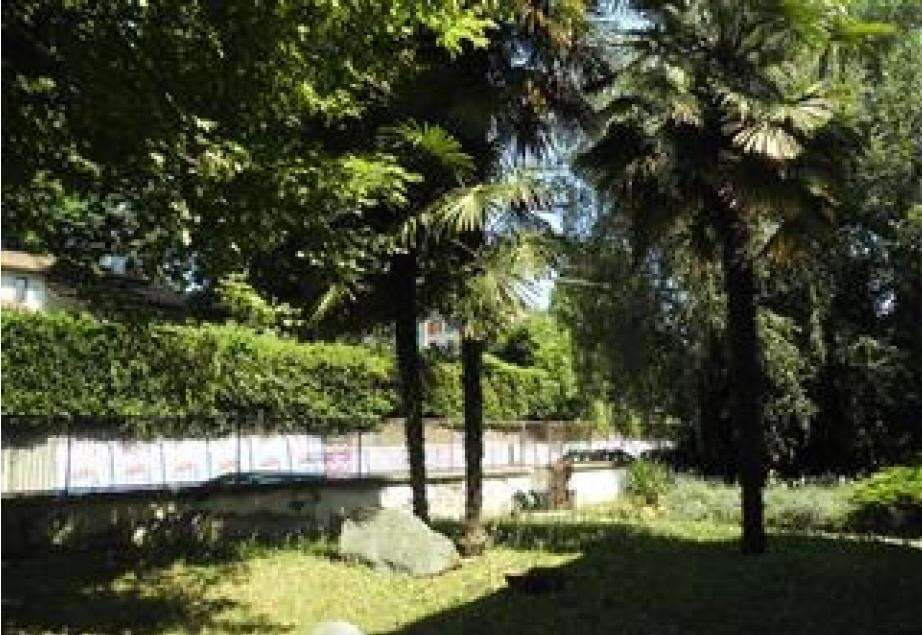 Foto annuncio 2