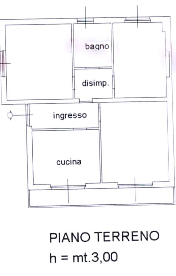 Foto annuncio 10