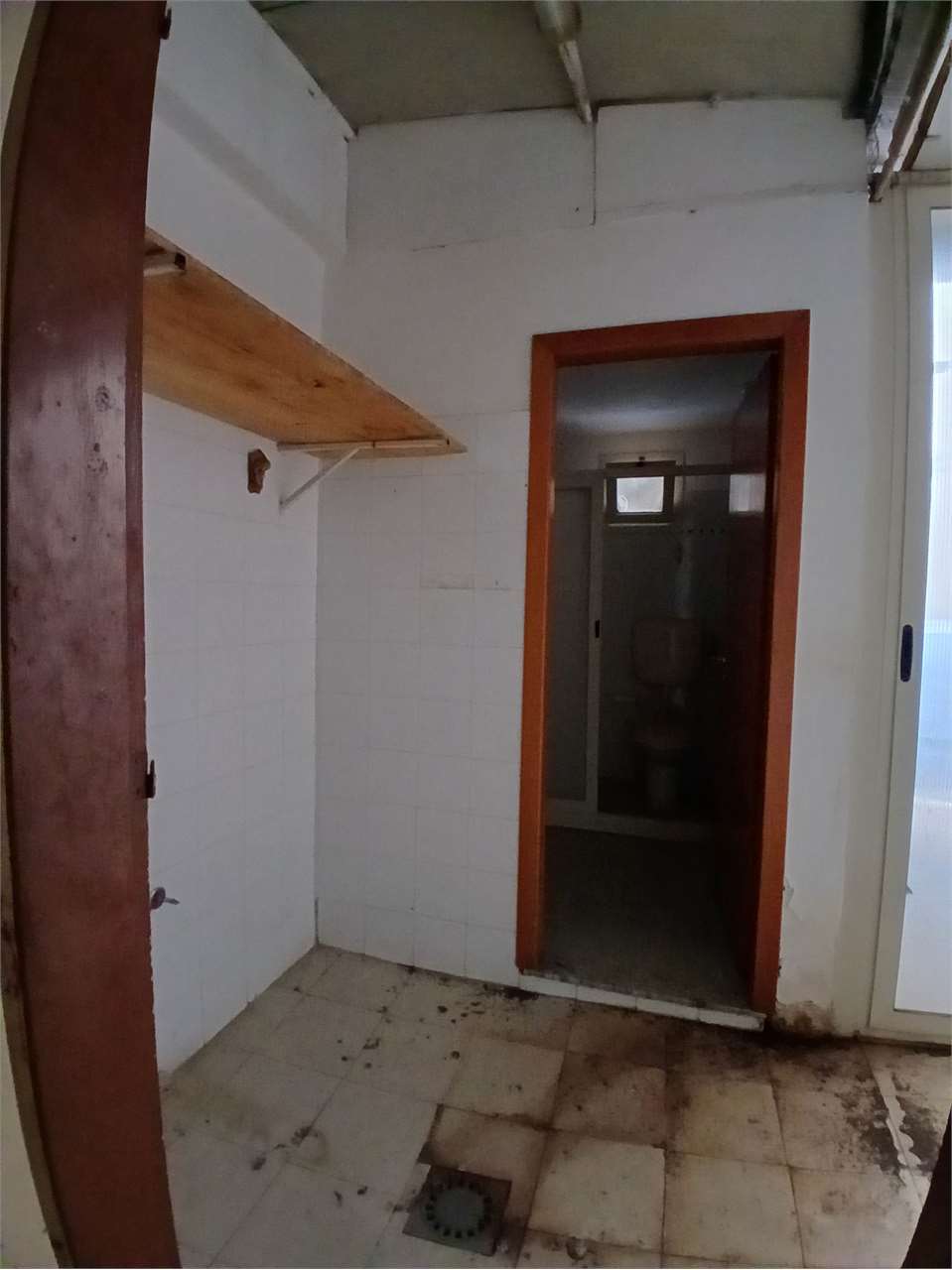 Foto annuncio 19