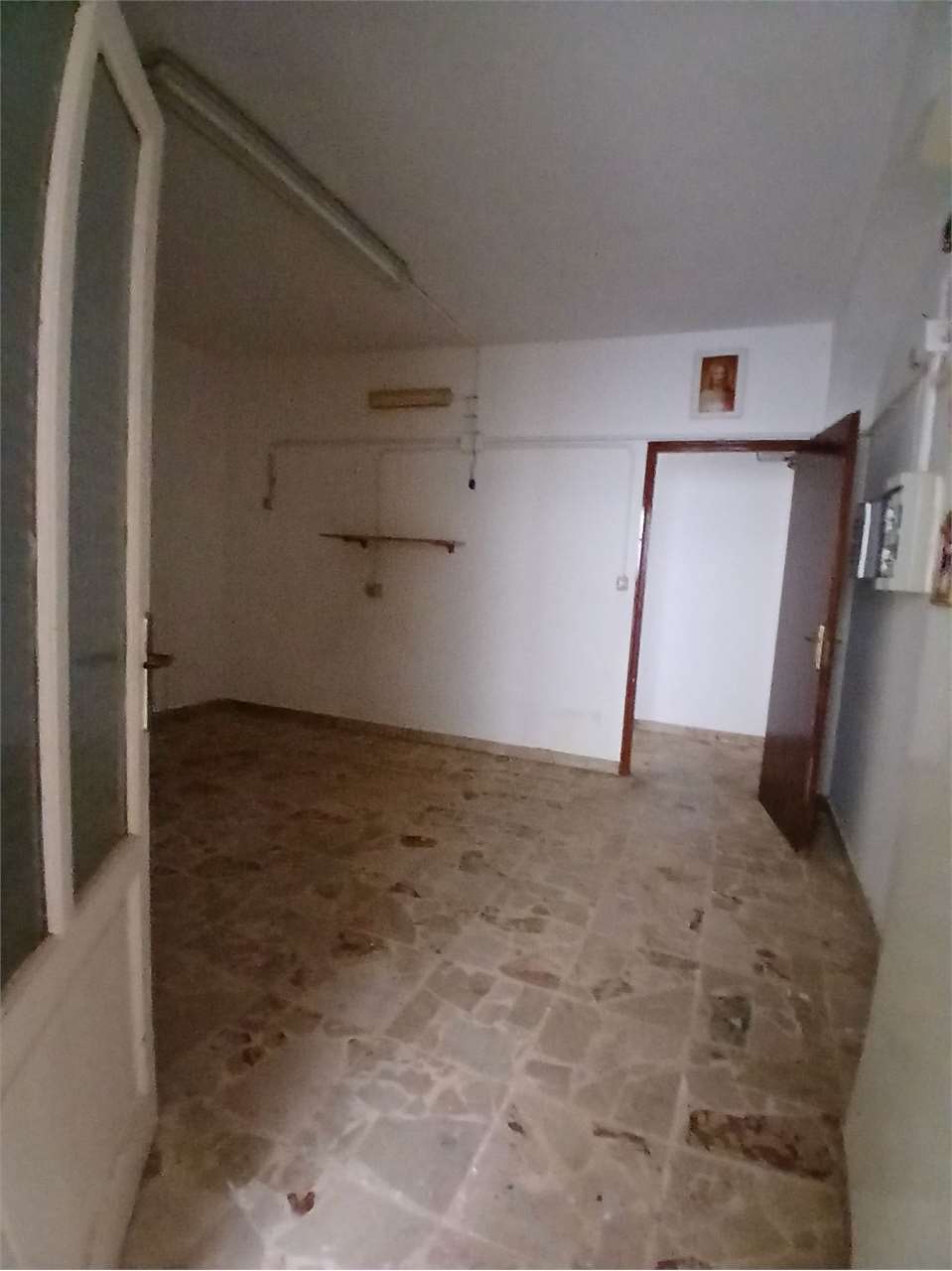 Foto annuncio 19