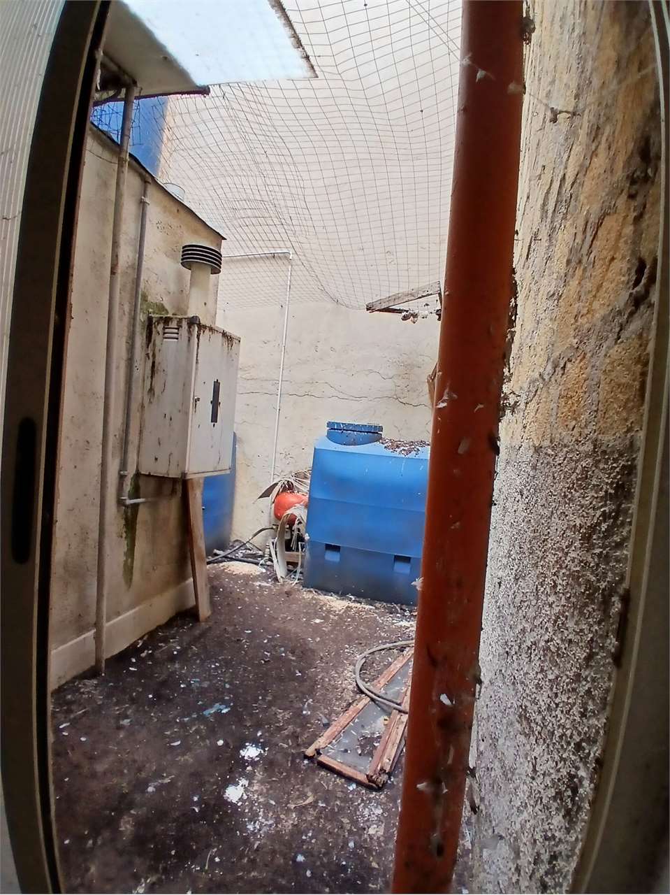 Foto annuncio 20