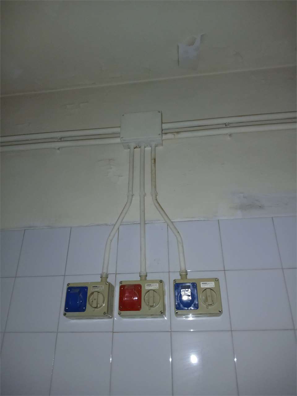 Foto annuncio 31