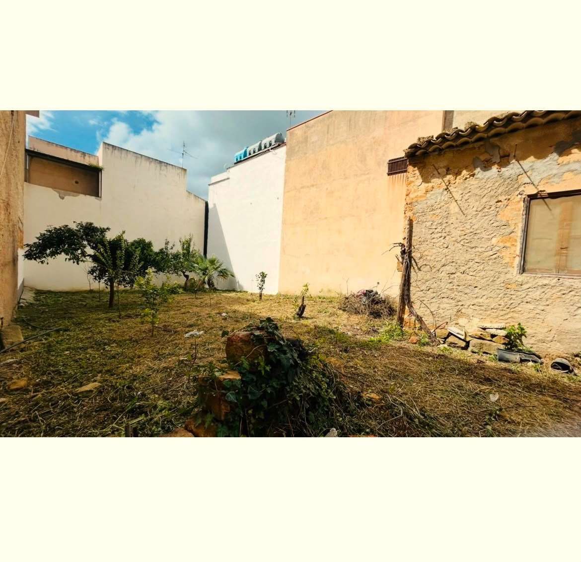 Foto annuncio 2