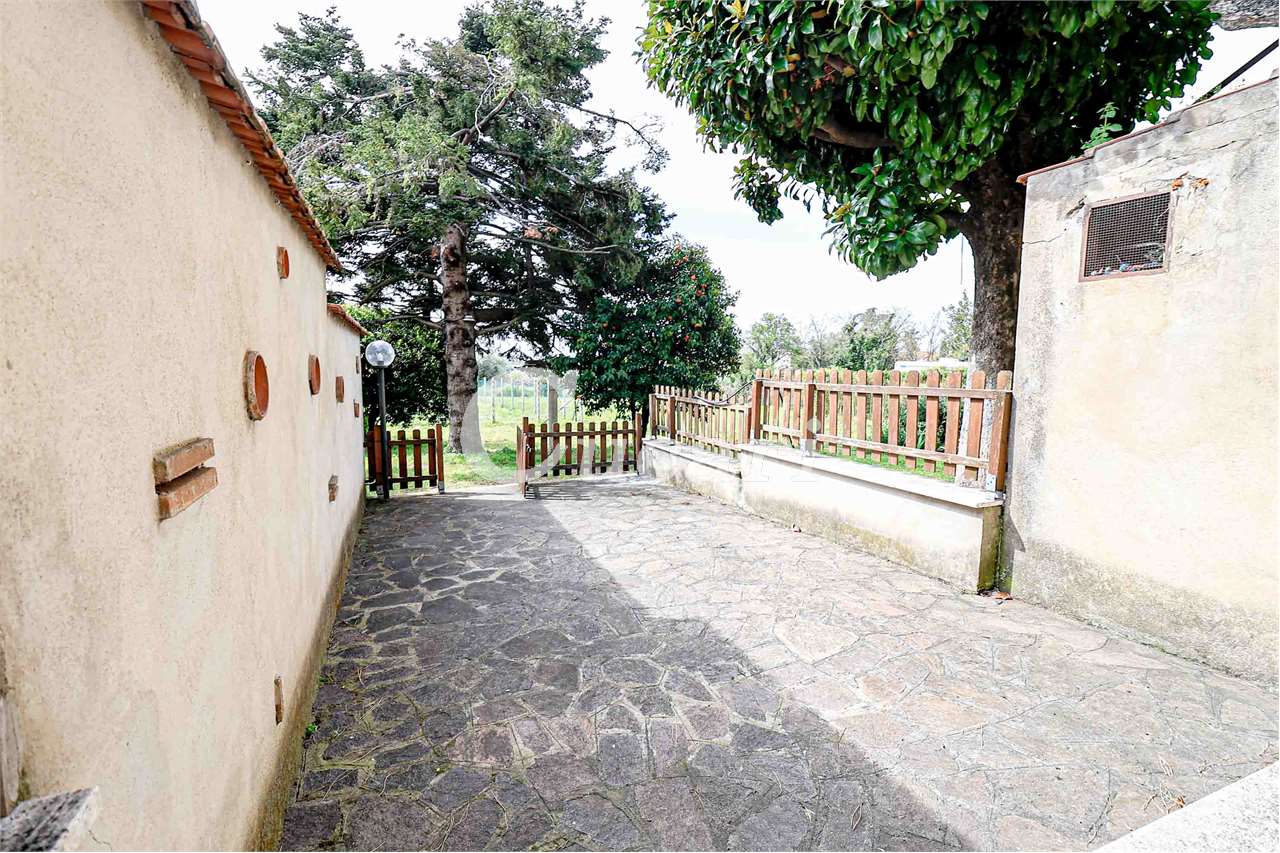 Foto annuncio 1