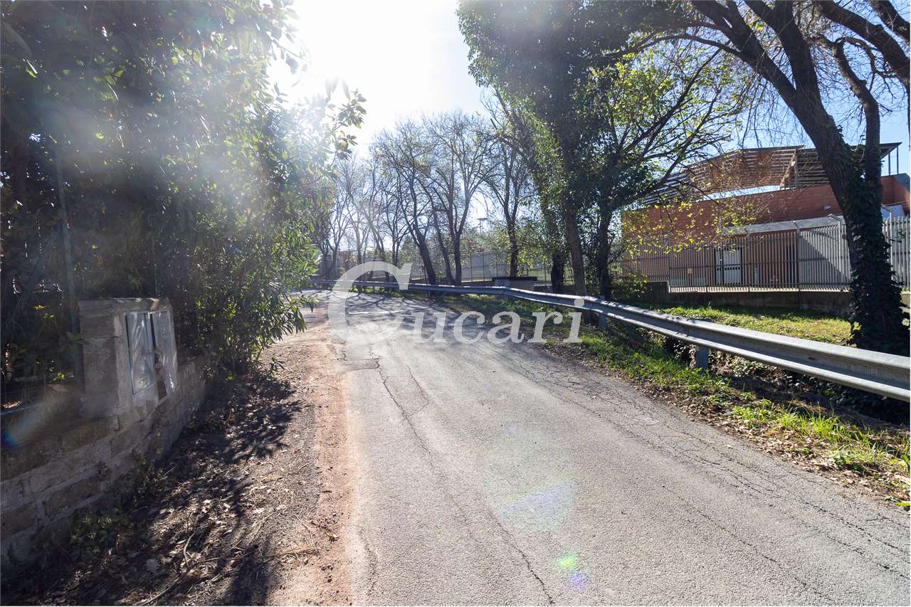 Foto annuncio 20