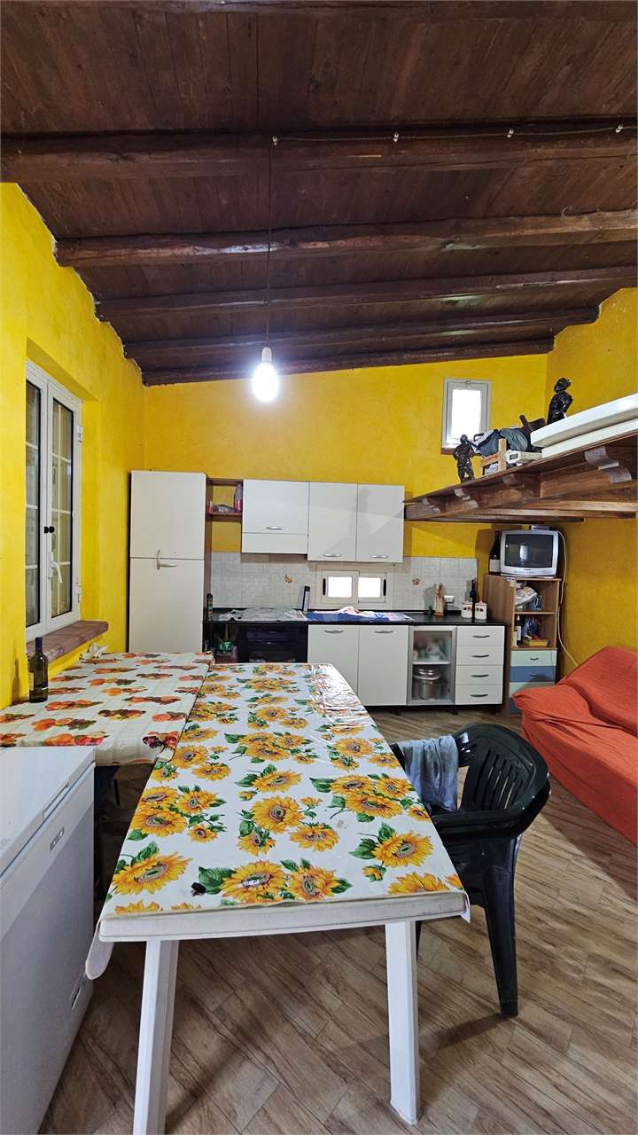 Foto annuncio 6