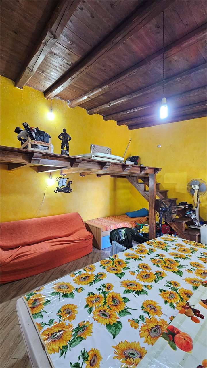 Foto annuncio 11