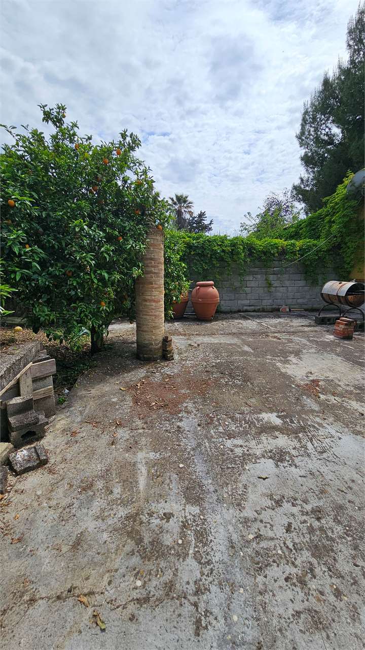 Foto annuncio 25