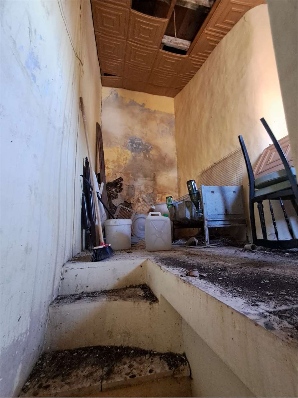 Foto annuncio 6
