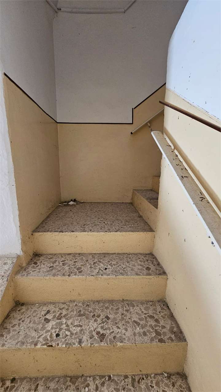 Foto annuncio 28