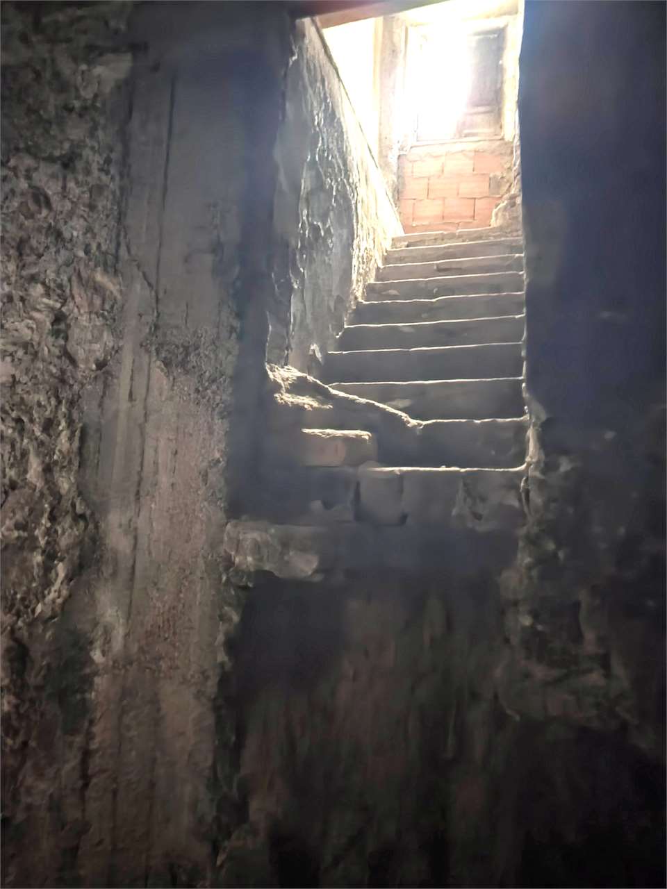 Foto annuncio 9