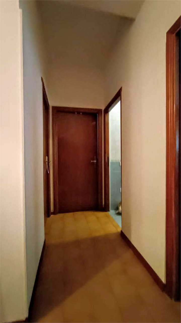 Foto annuncio 12