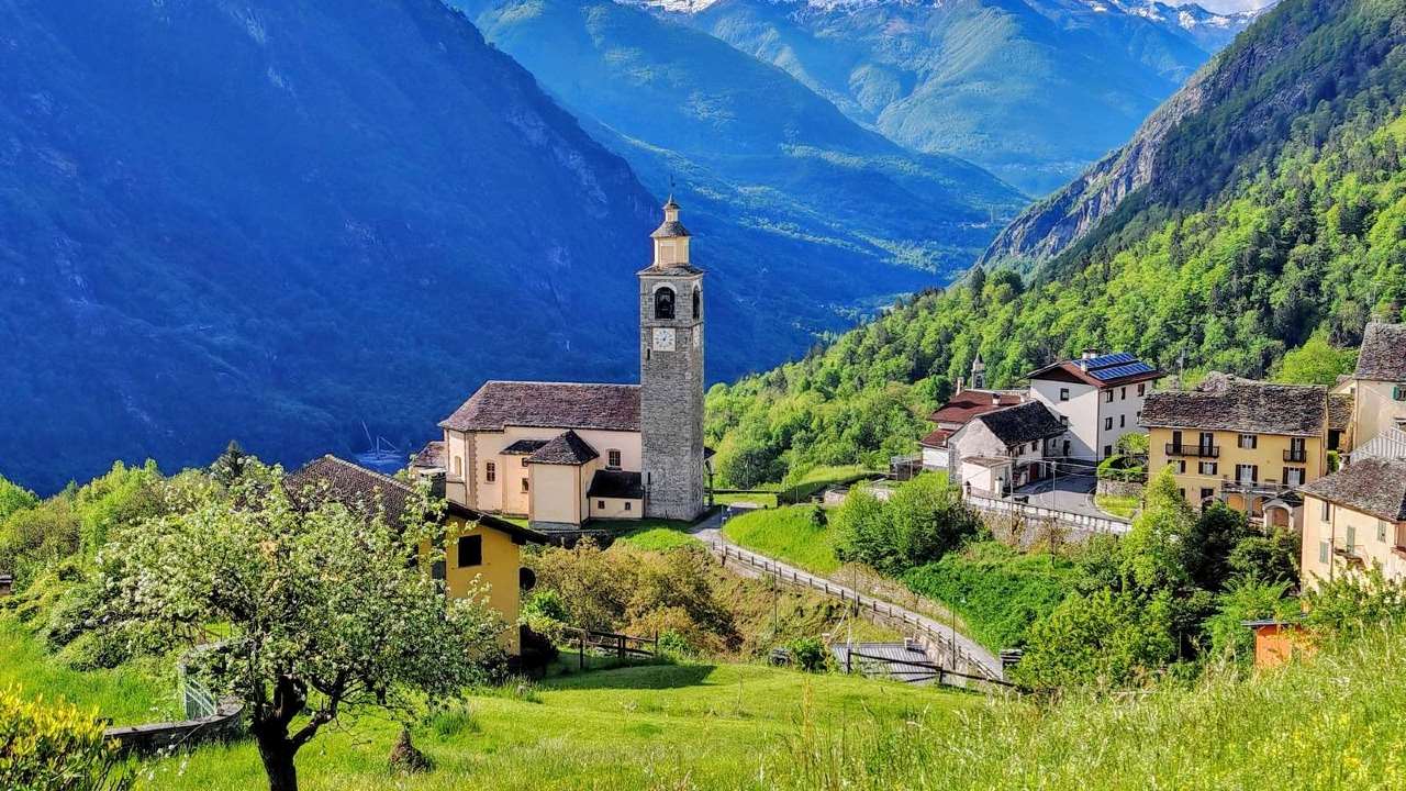 Foto annuncio 17