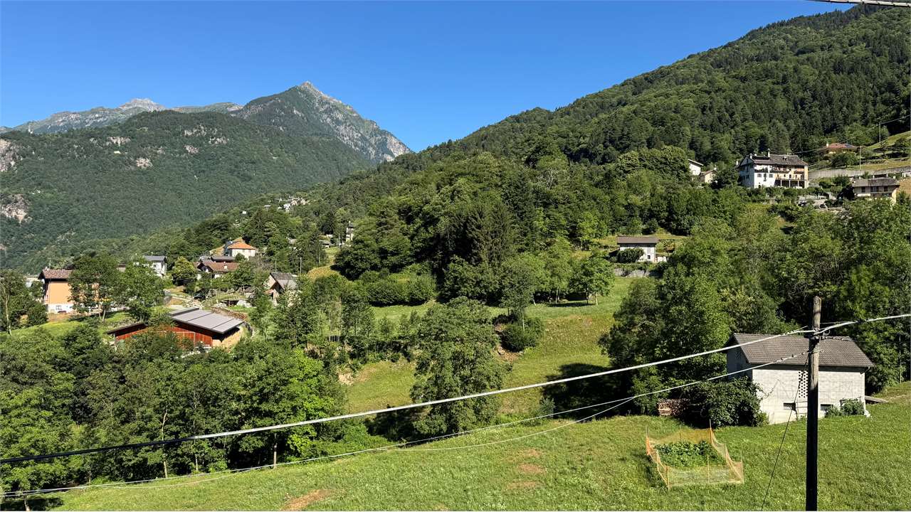 Foto annuncio 17