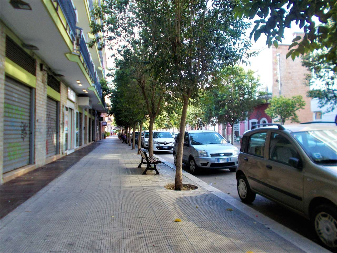 Foto annuncio 4
