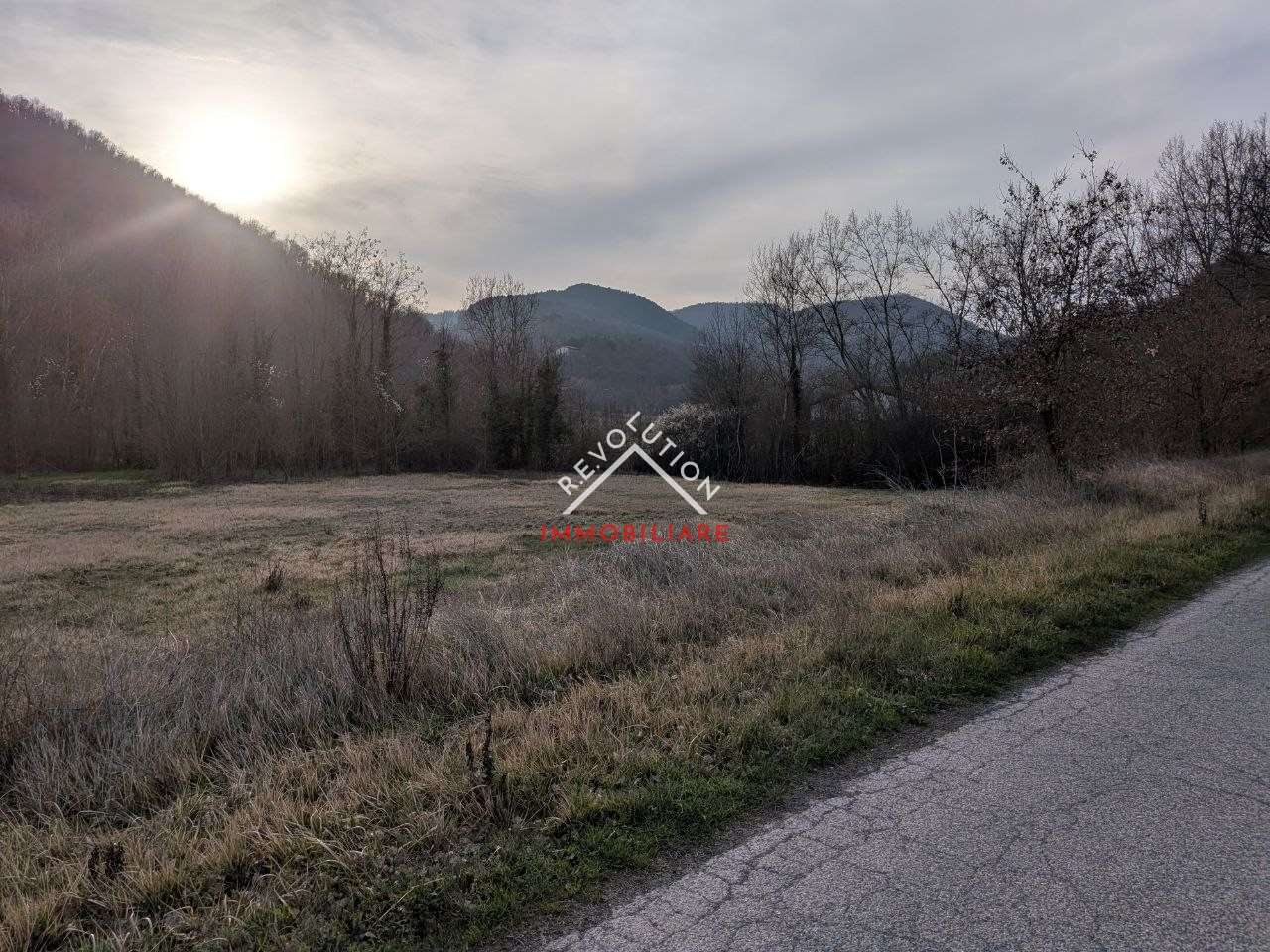 Foto annuncio 11
