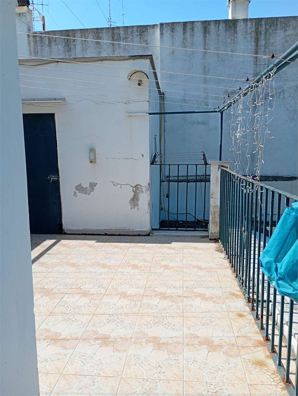 Foto annuncio 29