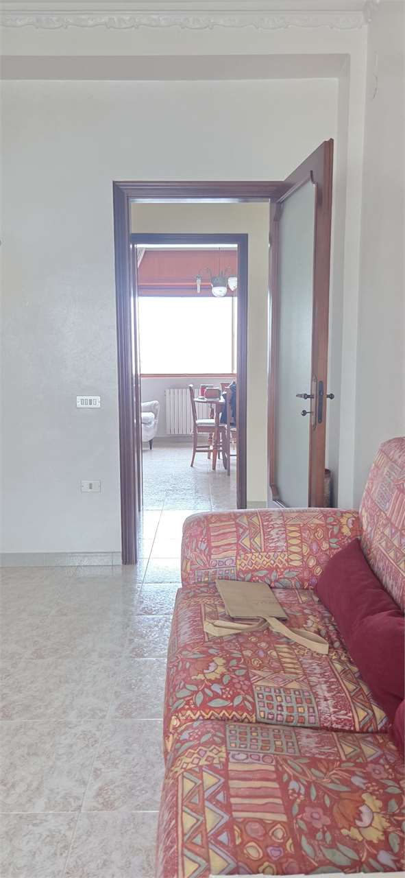 Foto annuncio 39