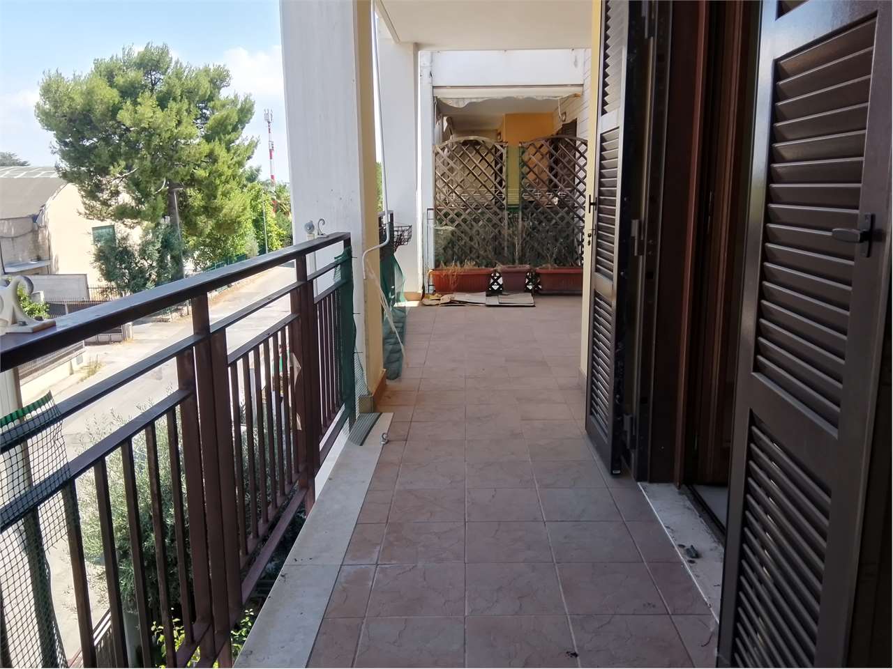 Foto annuncio 12