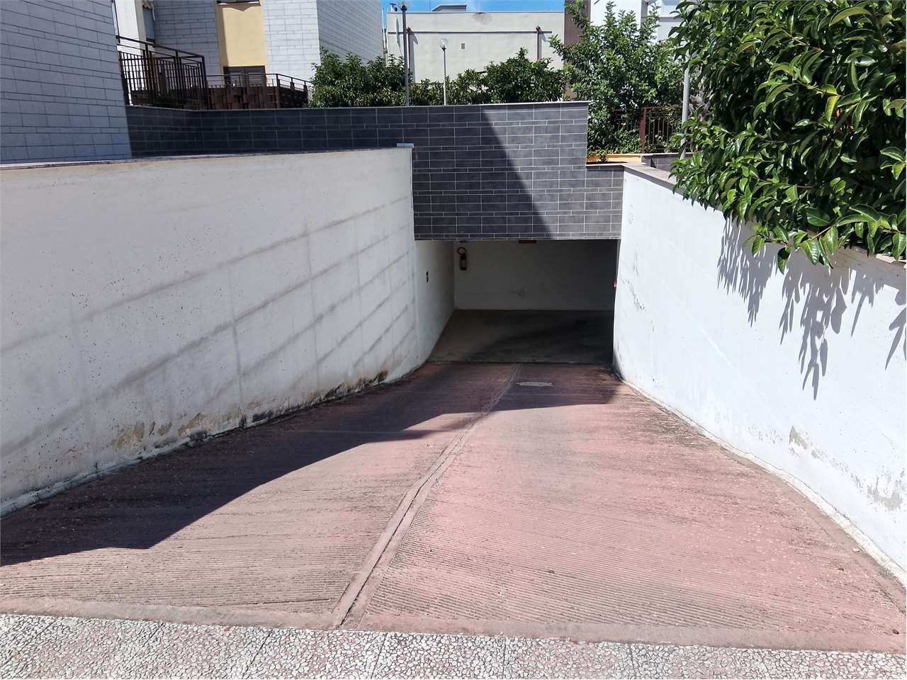 Foto annuncio 45