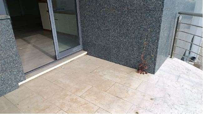 Foto annuncio 106