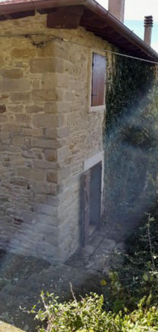 Foto annuncio 4