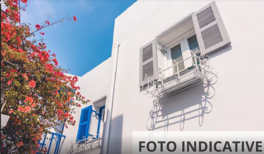 Foto annuncio 19