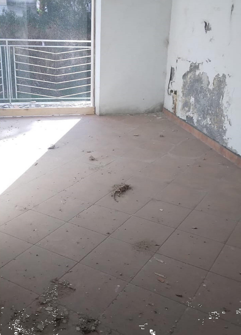 Foto annuncio 13