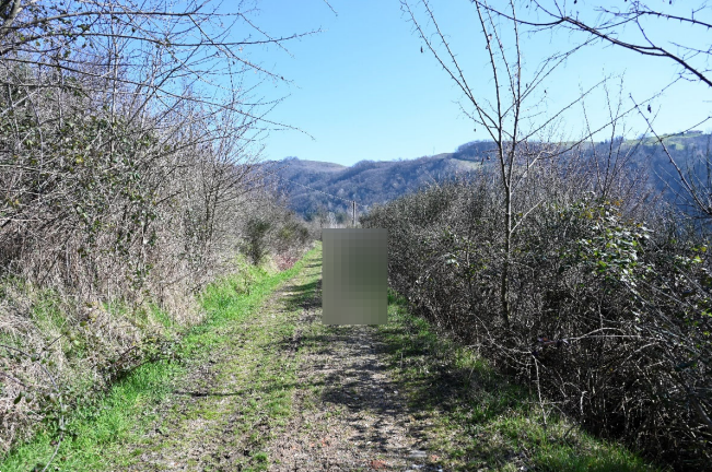 Foto annuncio 9