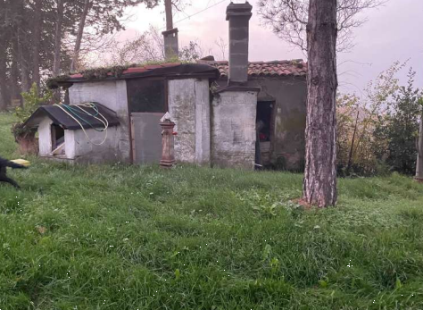Foto annuncio 3
