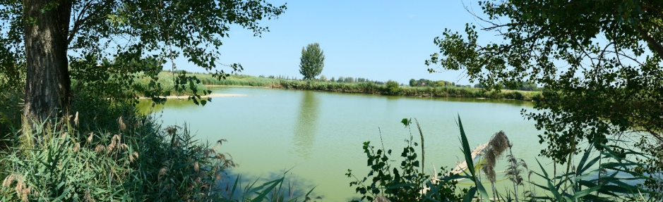 Foto annuncio 4