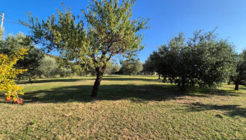 Foto annuncio 2