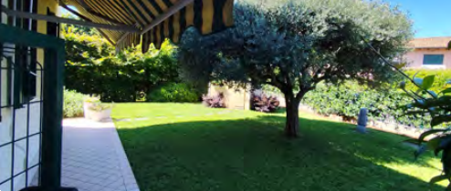 Foto annuncio 4