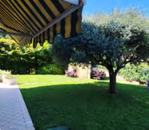 Foto annuncio 5
